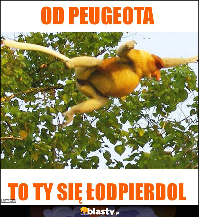 Od Peugeota