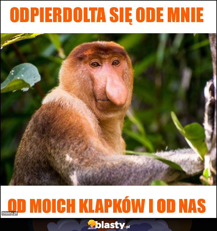 Odpierdolta się ode mnie