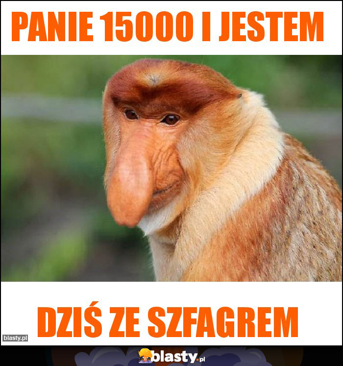 Panie 15000 i jestem