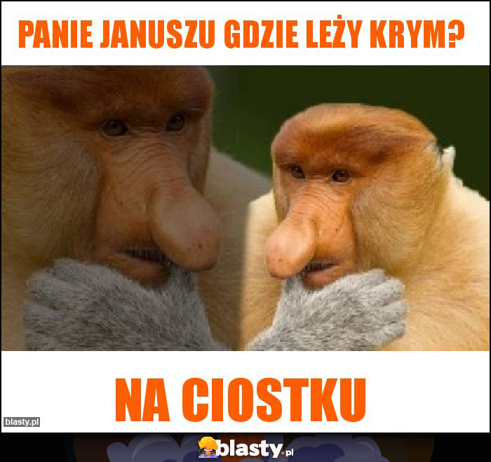 Panie Januszu gdzie leży Krym?