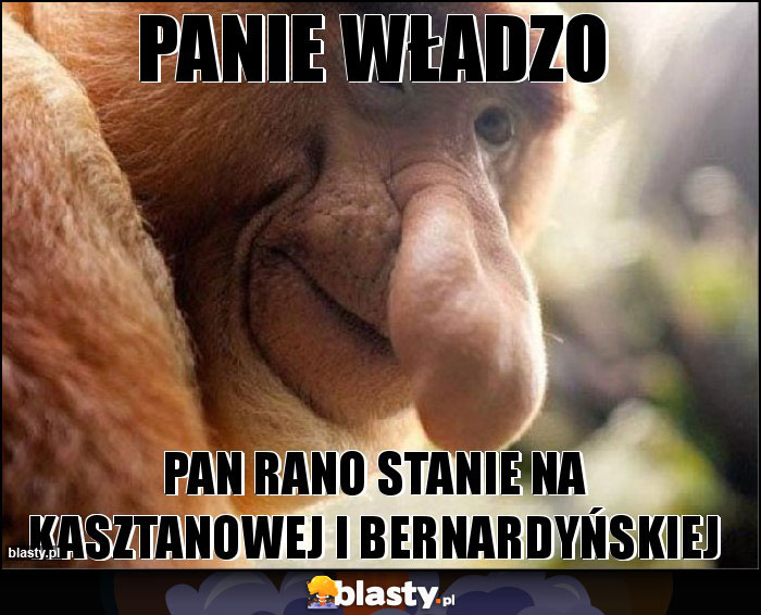 Panie władzo