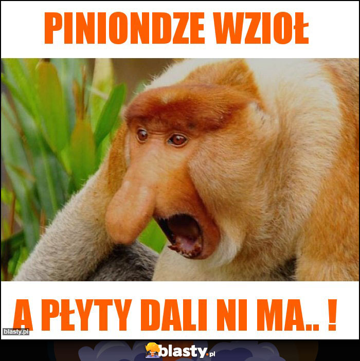 Piniondze wzioł