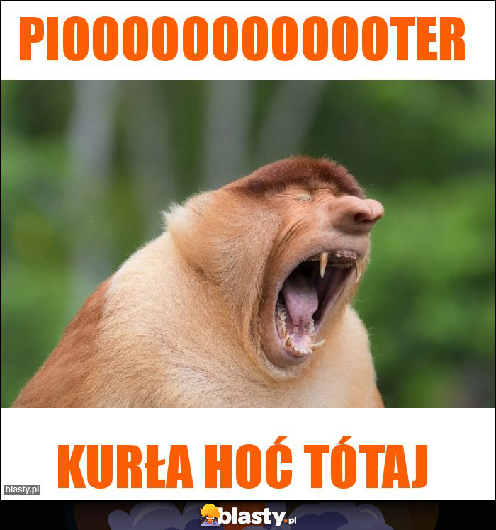 pioooooooooooter