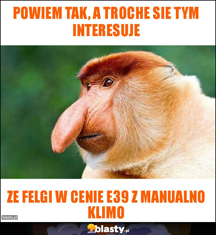 Powiem tak, a troche sie tym interesuje