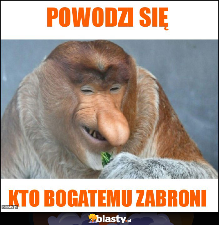 Powodzi się