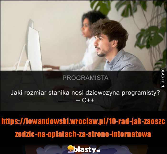 Programista