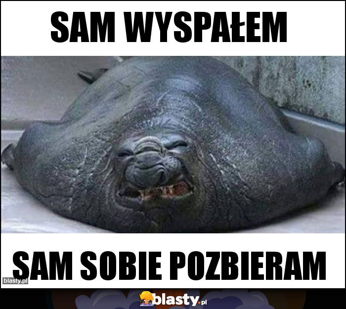 Sam wyspałem