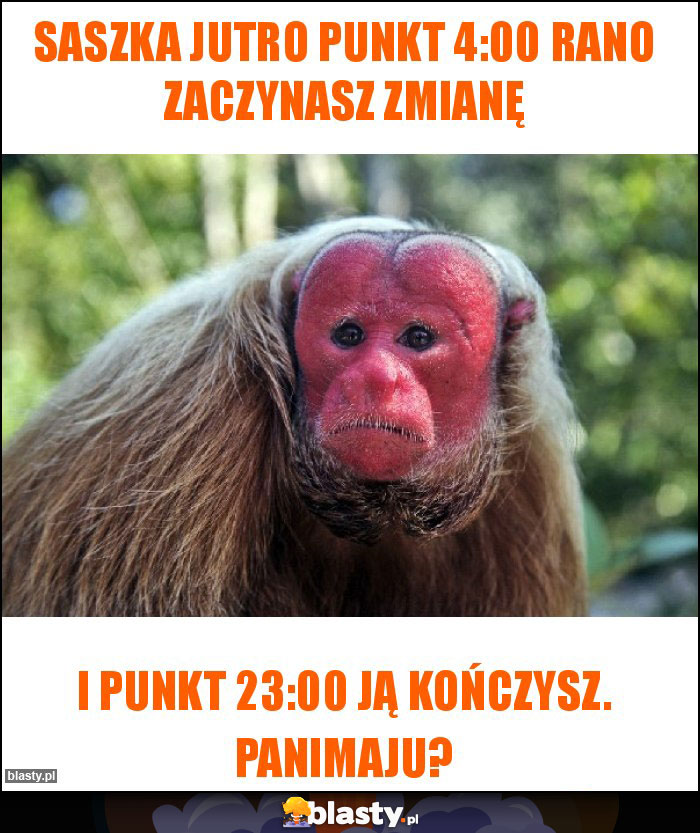 Saszka jutro punkt 4:00 rano zaczynasz zmianę