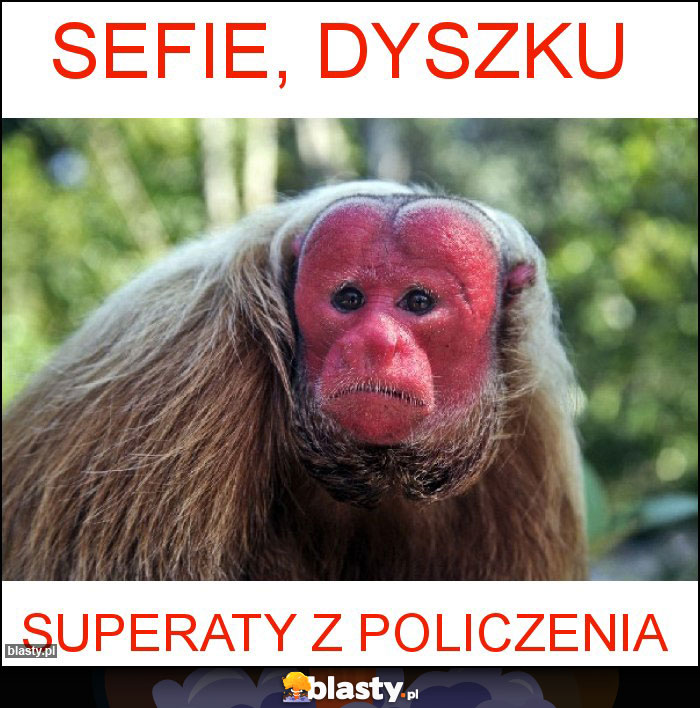 Sefie, dyszku