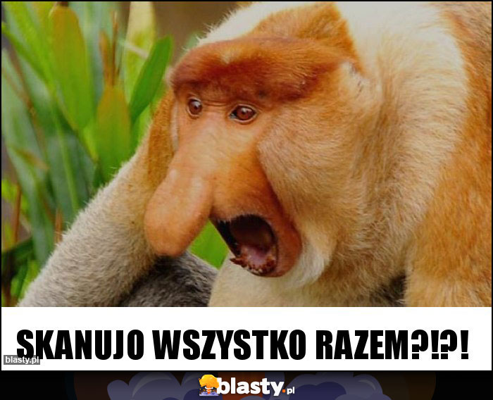 Skanujo wszystko razem?!?!