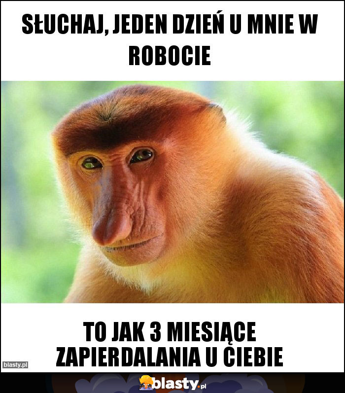 Słuchaj, jeden dzień u mnie w robocie