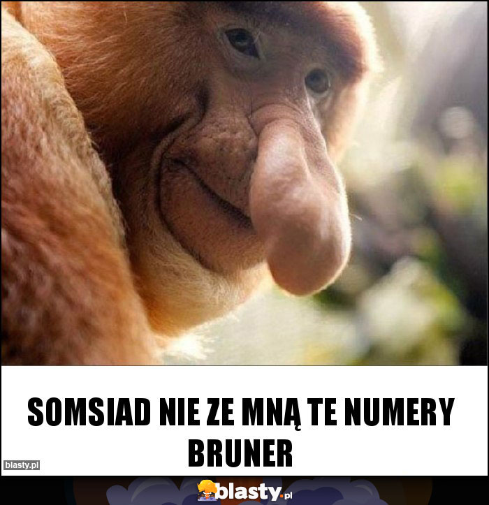 Somsiad nie ze mną te numery Bruner