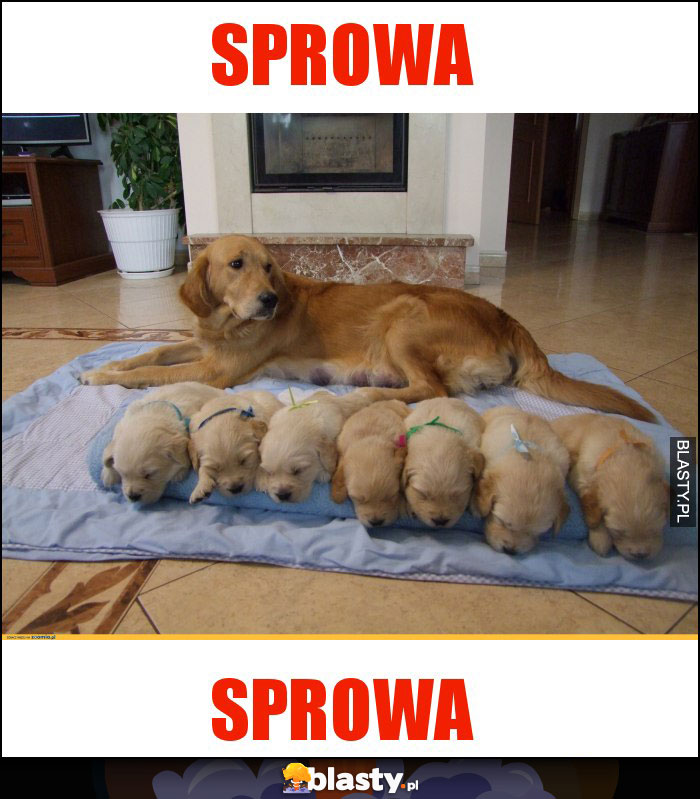 Sprowa