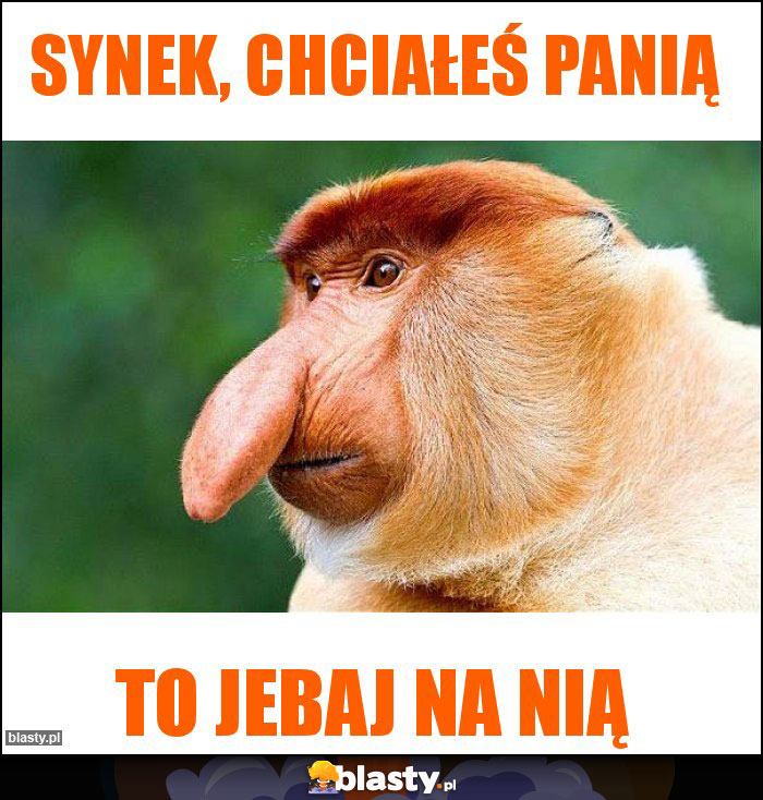 Synek, chciałeś panią