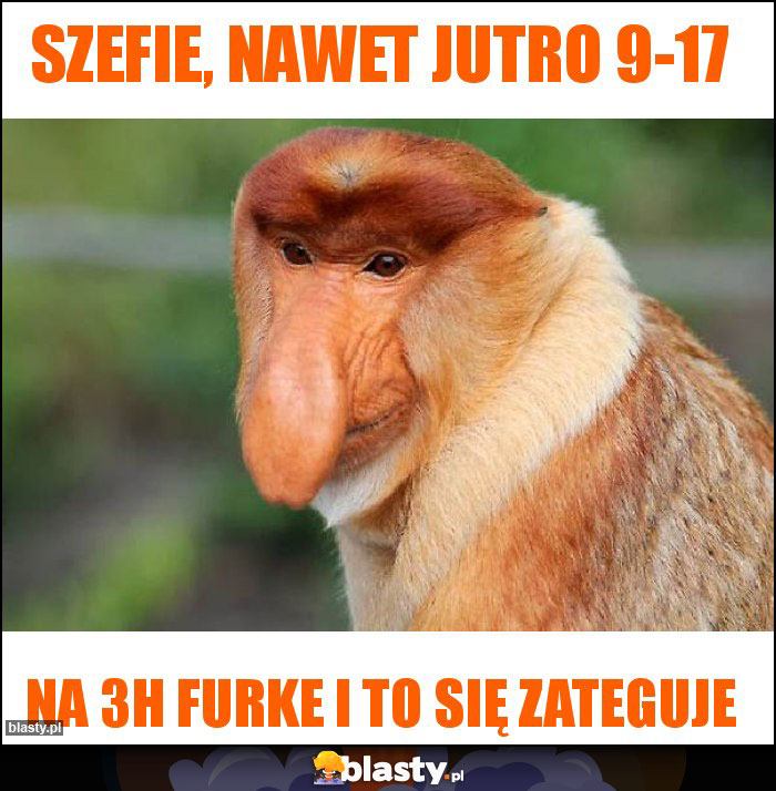 Szefie, nawet jutro 9-17