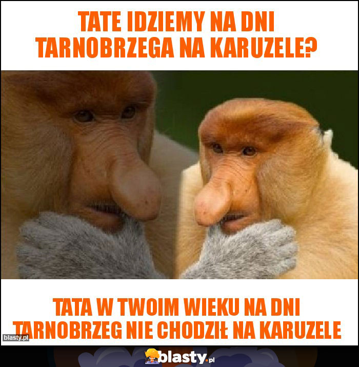 Tate idziemy na dni Tarnobrzega na karuzele?