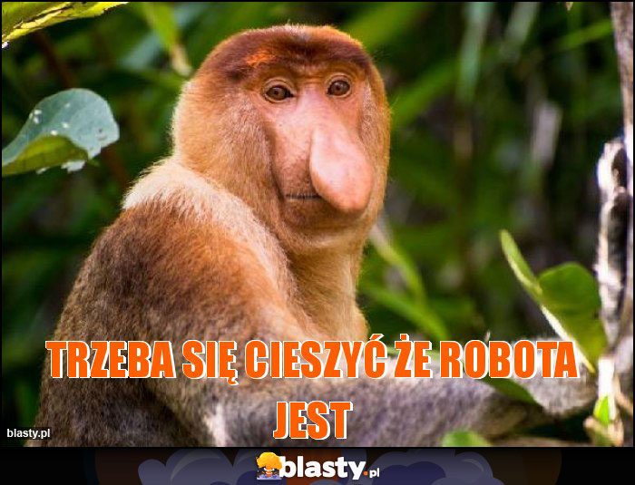 Trzeba się cieszyć że robota jest