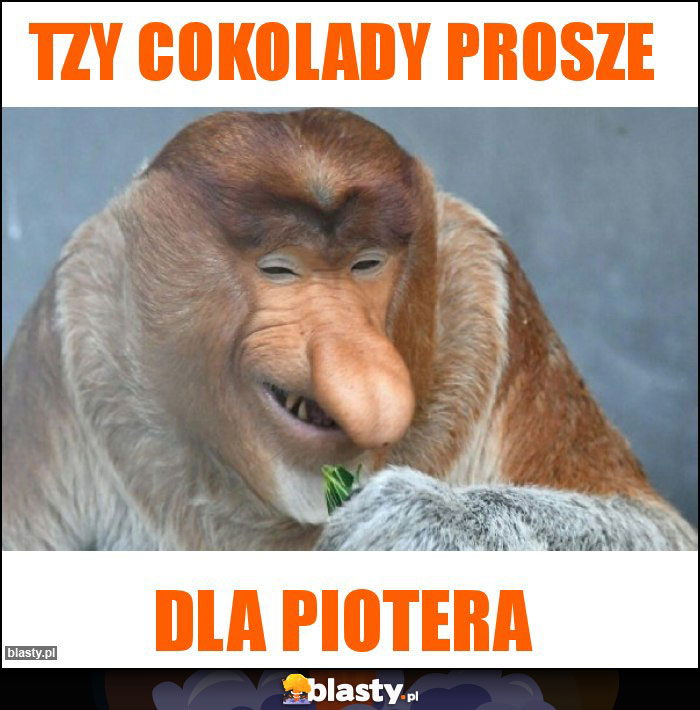 Tzy cokolady prosze