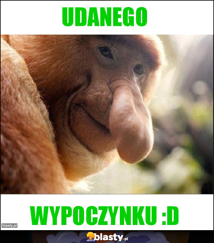 Udanego