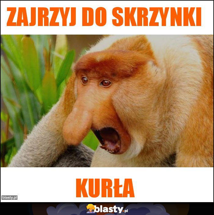 Zajrzyj do skrzynki