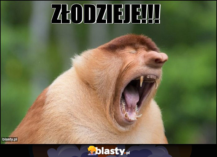 Złodzieje!!!