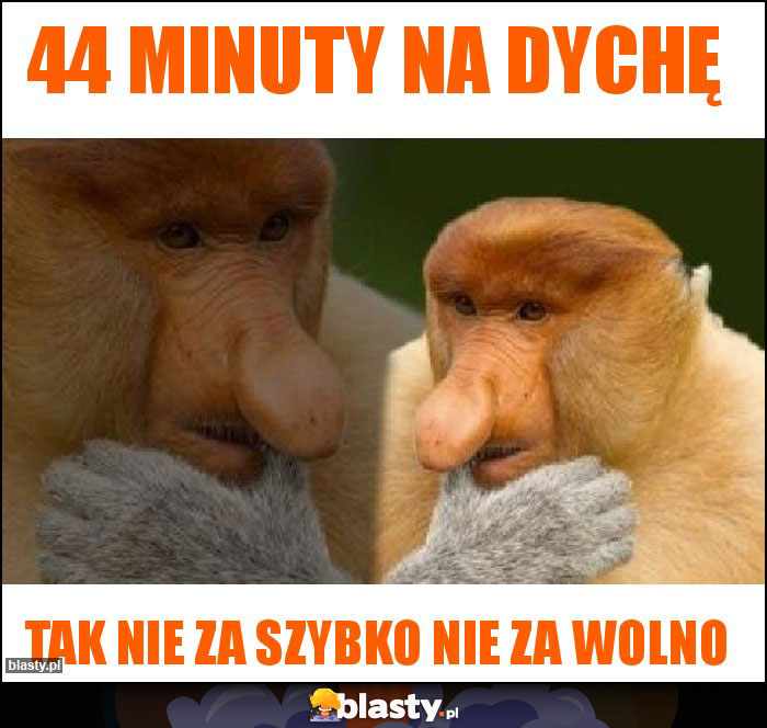 44 minuty na dychę