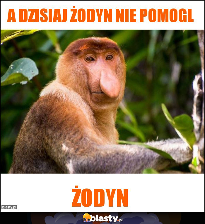 A dzisiaj żodyn nie pomogl