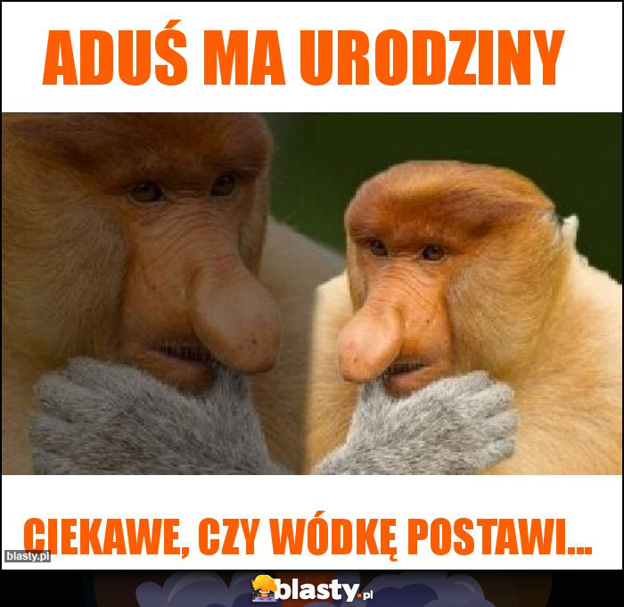 Aduś ma urodziny