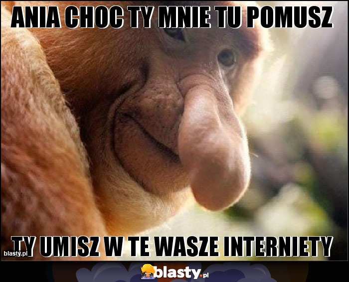 Ania choc ty mnie tu pomusz