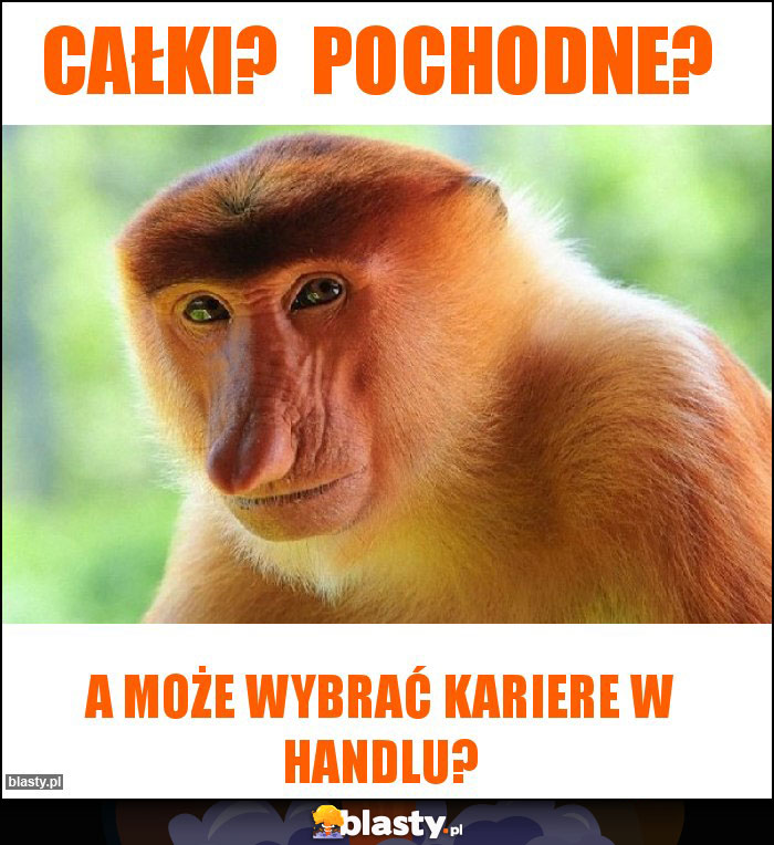 Całki?  Pochodne?