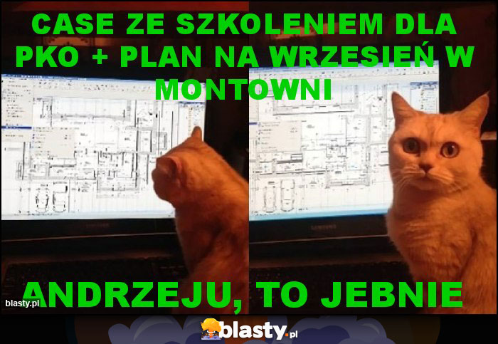 Case ze szkoleniem dla PKO + plan na wrzesień w montowni