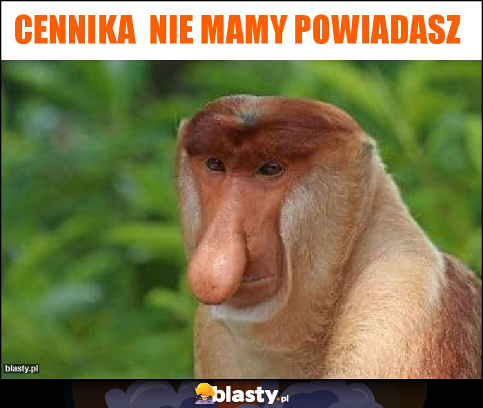 Cennika  nie mamy powiadasz