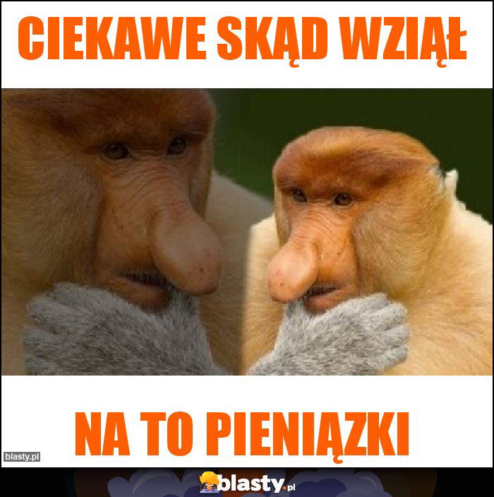 Ciekawe skąd wziął