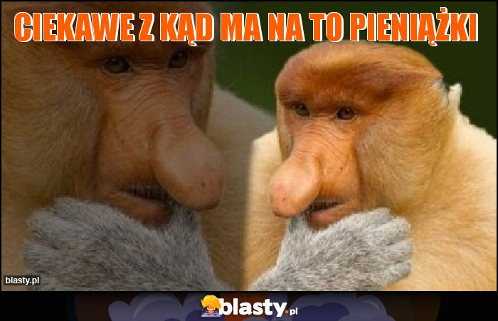 ciekawe z kąd ma na to pieniążki