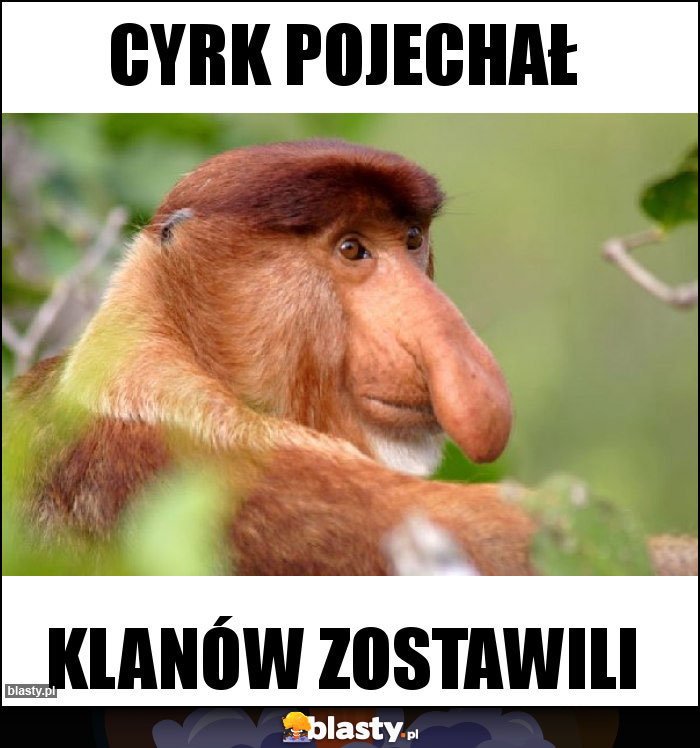 CYRK POJECHAŁ