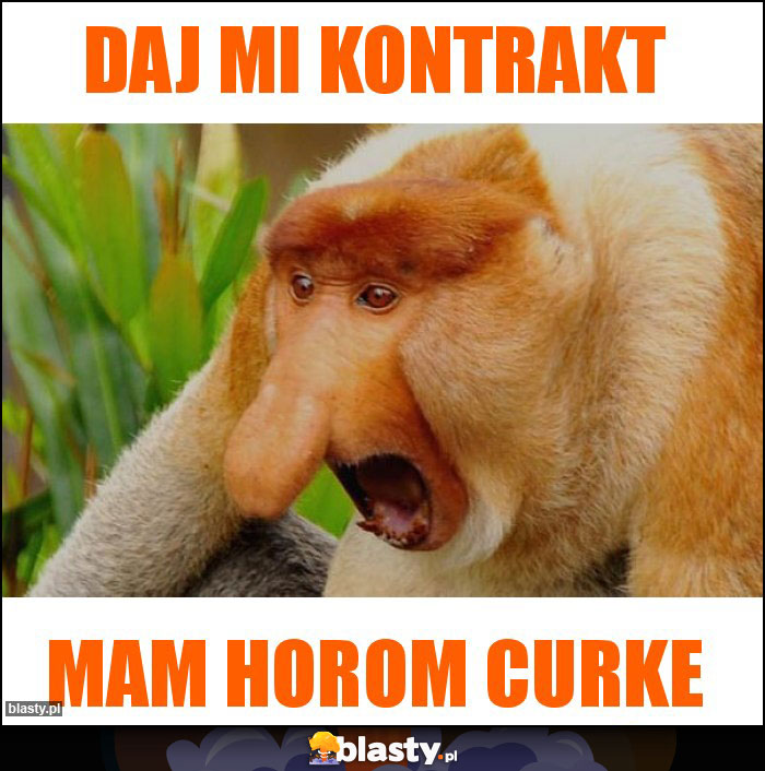 Daj mi kontrakt