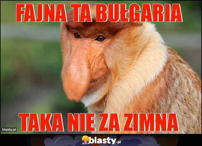 Fajna ta bułgaria