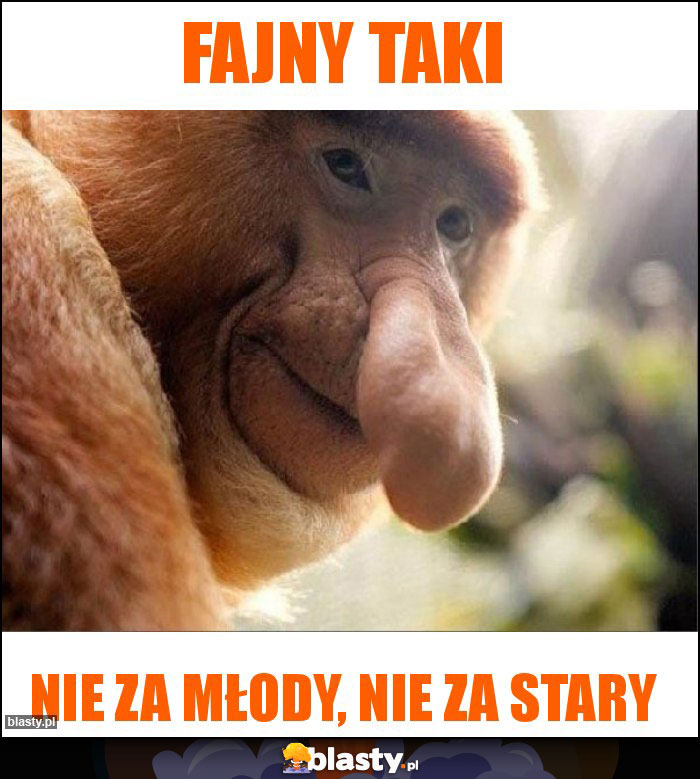 Fajny taki