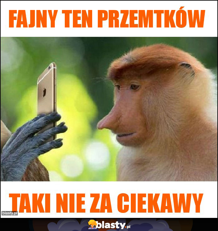 Fajny ten przemtków