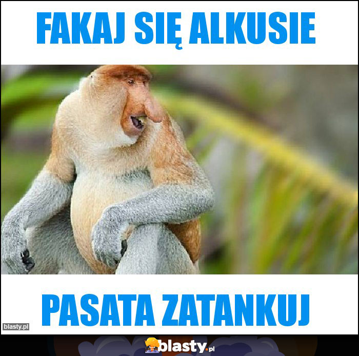 Fakaj się alkusie