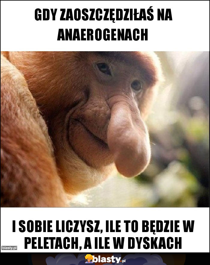 GDY ZAOSZCZĘDZIŁAŚ NA ANAEROGENACH