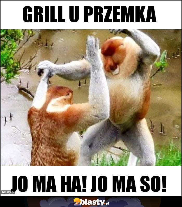 Grill u Przemka