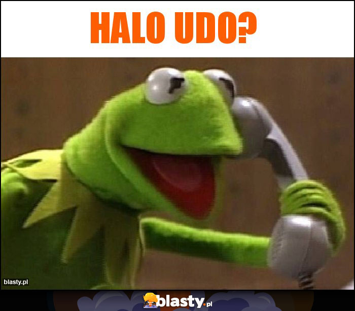 Halo udo?