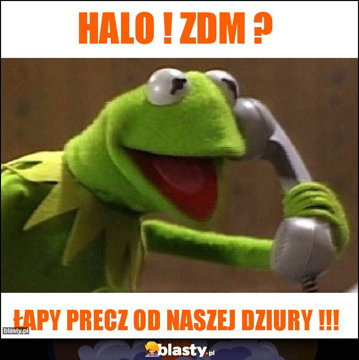 Halo ! ZDM ?