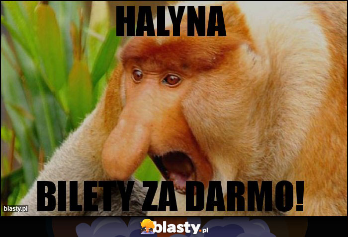 Halyna