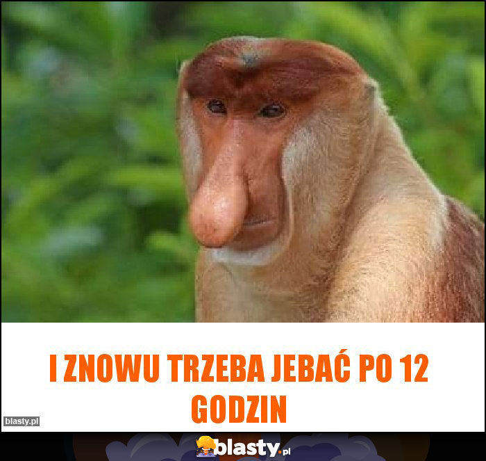 I znowu trzeba jebać po 12 godzin