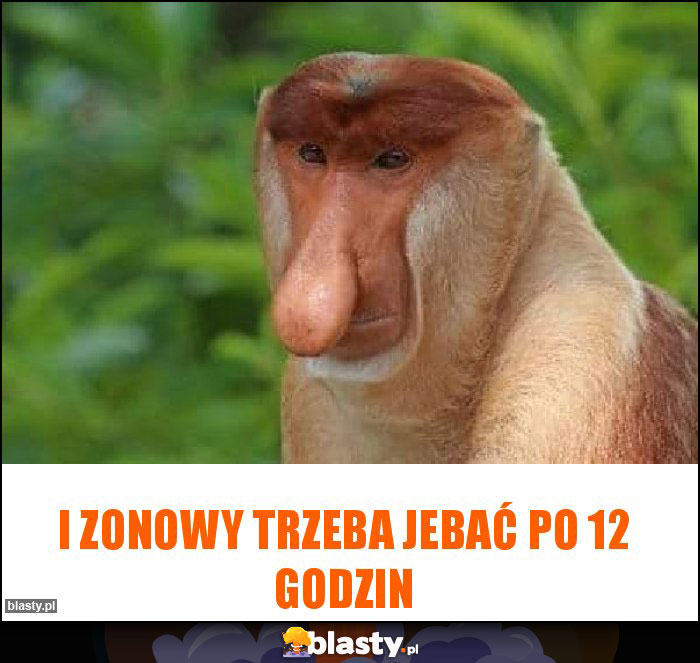 I zonowy trzeba jebać po 12 godzin