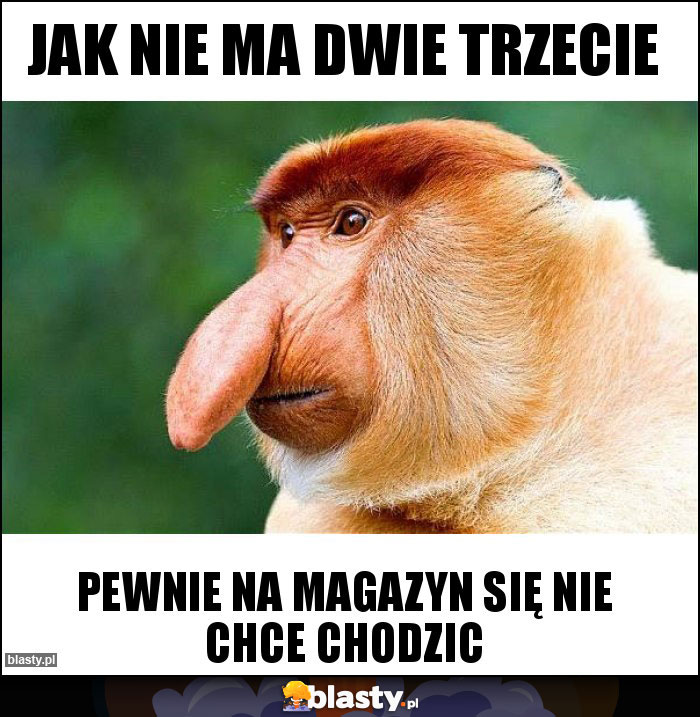 JAK NIE MA DWIE TRZECIE