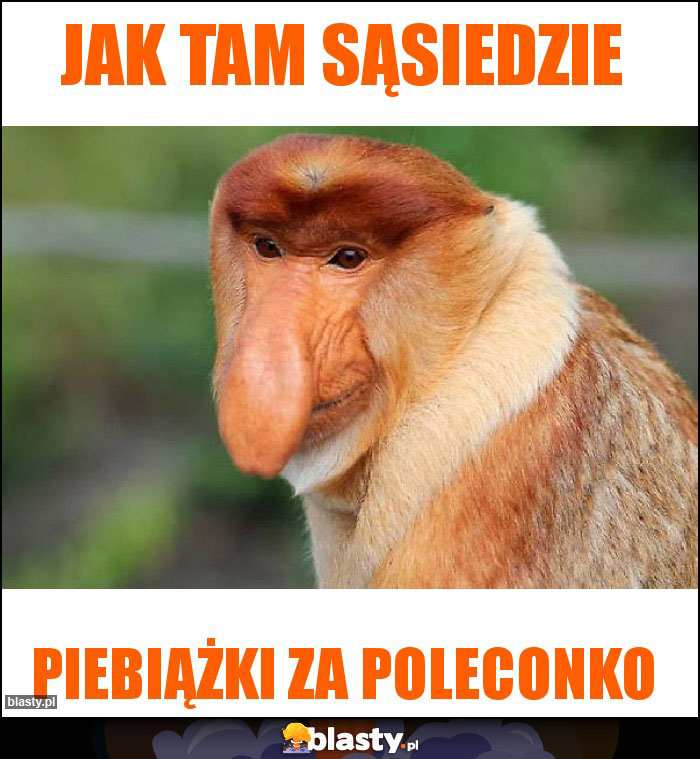 Jak tam sąsiedzie