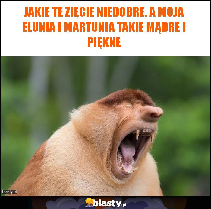 Jakie te zięcie niedobre. A moja elunia i martunia takie mądre i piękne